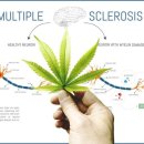 레인전자 이미지