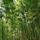 울릉서중학교 이미지