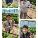 동하태권도 이미지