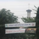 양지-13 이미지