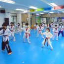 용인대 예당 태권도장 이미지