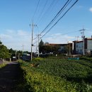 대천동 도순 마을회관 이미지