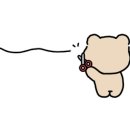 제주위딤