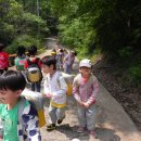 푸른숲유치원 이미지