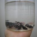 토산개발