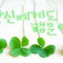 365공인중개사사사무소 이미지