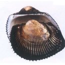 바다세상 이미지