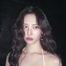 선미 이미지