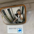 [공지] [nagoya]240928-1001 나고야#4