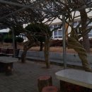 울진여자고등학교 이미지