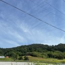 선소유적지 이미지