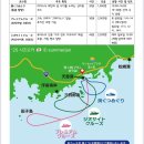 늘푸른주유소 | [시즈오카] 4박 5일 시즈오카 이즈반도 완전 정복 - 렌터카 여행 일정 / 후기 요약