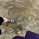 강변유원지길 이미지