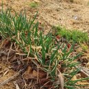 우가농장 이미지