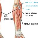 삼성바른신경외과 이미지