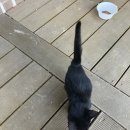 도화우리마트 이미지