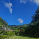 숲속의 펜션 이미지