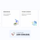 안전식품