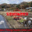 썬공인중개사합동사무소 이미지