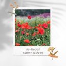 도담행복마을 이미지