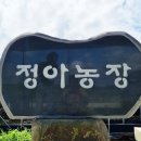 정아농장 이미지