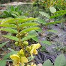 정원2농장 이미지