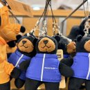 후쿠오카 몽벨 텐진점 후기｜힙색·키링 가격, 일본 쇼핑 실구매 후기