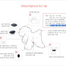 이정민애견미용학원 이미지