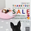 플레이펫 이미지
