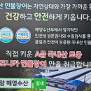 장어원 이미지