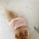 리프레쉬룸
