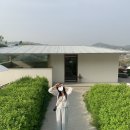 한영이엔지 | 베베도 좋아하는 신방동 애견동반 카페