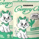 그린카사 이미지