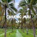 8월의 코코넛(Coconut in August) | [치앙마이 여행 -1] 트래블로지 님만, 마켓 총정리 (코코넛마켓, 징짜이마켓, 선데이마켓)