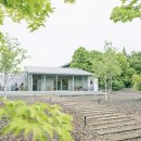 2023 벚꽃길 야외 특별공연 다시 봄 이미지