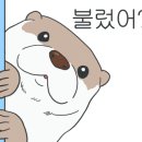 수달네일