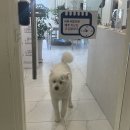 앤미장원 이미지