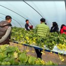 김용선 농장 이미지