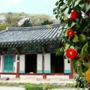 강산임업 - 춘천시 | 강산임업