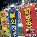강릉중앙시장 회 포장 맛집 도마횟집본점, 2층 식당 이용 후기