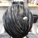 최가 미장 이미지