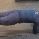 우리짐 상도점 이미지