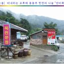 선비묵집 이미지