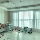 스텔라홈 네이버블로그