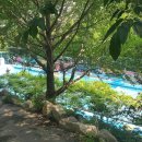 오마이랜드부산 이미지