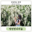 영천한의마을 기념품 | 경북 영천 대구 근교 당일치기 여행 가볼만한곳 추천 한의마을 공조팝