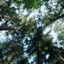 다원여행사 - 12205 | 다원여행사