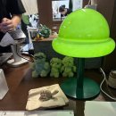 신흥애견센타 이미지