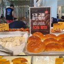 마고플레인 이미지