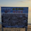 토앤레더스페이스 | 탐앤탐스블랙마시안점 인천 영종도 마시안 주차정보...카페 갯벌체험 내돈내산 후기 갯벌체험 물때확인필